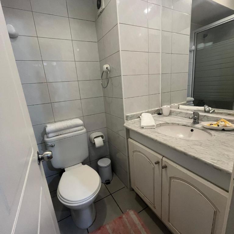 Departamentos Santiago Centro # 720 - One-Bedroom Apartment - 2