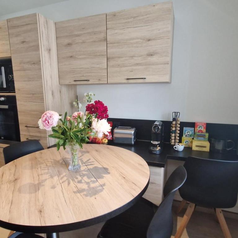 Lac Plage et Ville 95 m2 a 100m du lac, 3 chambres, parking - Three-Bedroom Apartment - 24