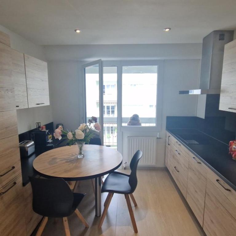 Lac Plage et Ville 95 m2 a 100m du lac, 3 chambres, parking - Three-Bedroom Apartment - 20