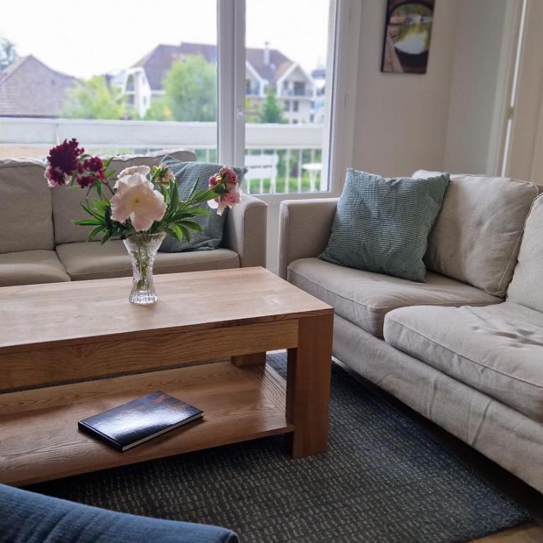 Lac Plage et Ville 95 m2 a 100m du lac, 3 chambres, parking - Three-Bedroom Apartment - 39