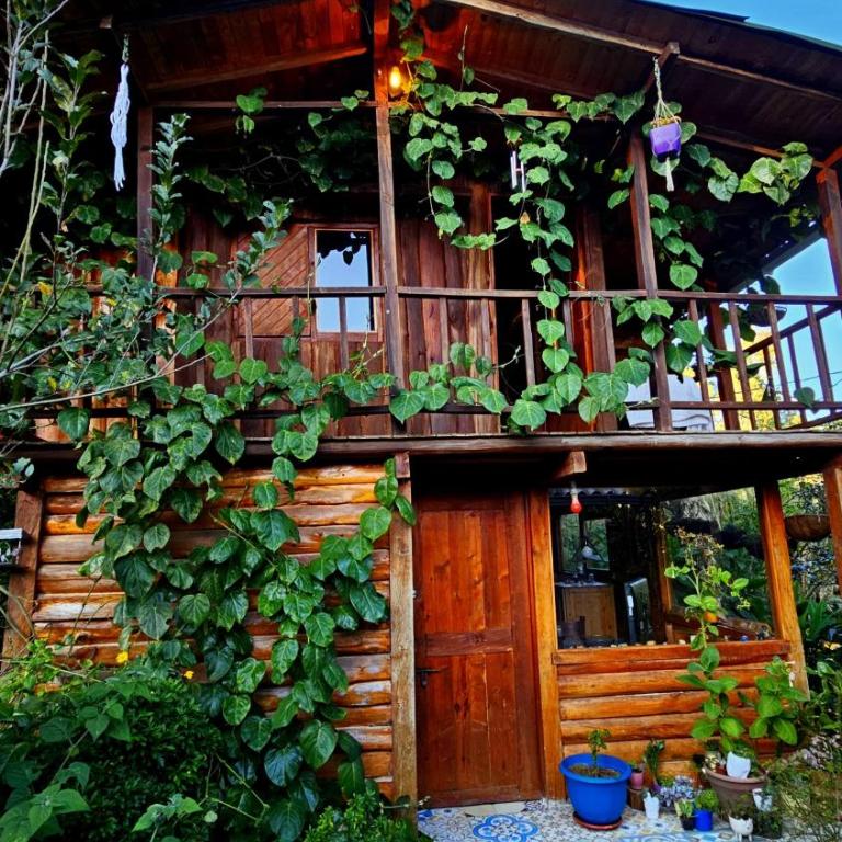 Beehouse Mandala - Two-Bedroom House - 3