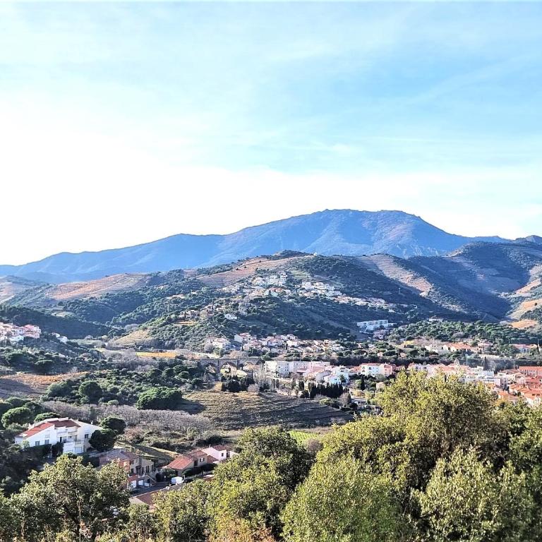 Appartement 3 pièces avec terrasse et WIFI à Banyuls-sur-Mer - FR-1-309-459 - Apartamento de 2 dormitorios - 1