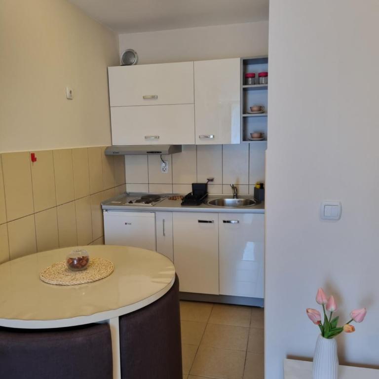 Studio apartman Ema - centar, kruzni tok - Studio sa Bračnim Krevetom (King-size) - 3