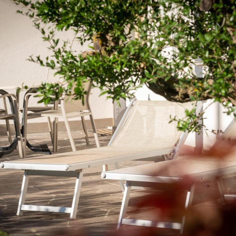 Weingut Sonnenhof - Appartamento con 1 Camera da Letto - 12