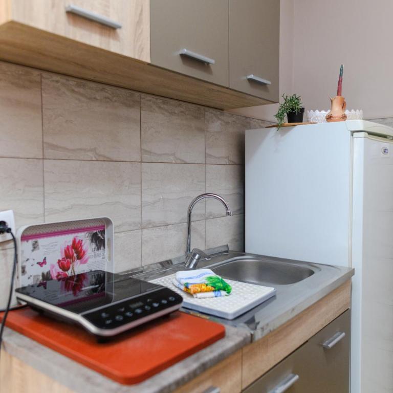 Vila Misljenovic, u centru Sokobanje, na pesackoj zoni - Studio Apartman s Balkonom - 7