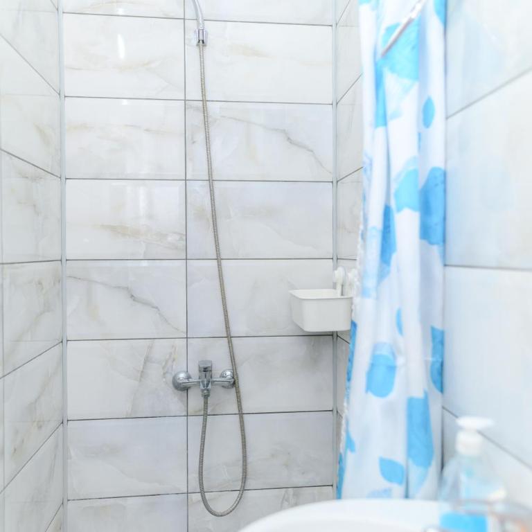 Vila Misljenovic, u centru Sokobanje, na pesackoj zoni - Studio Apartman s Balkonom - 13