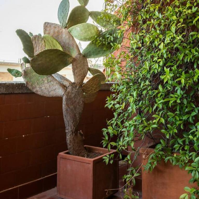 San Pietro Home - Appartamento con 1 Camera da Letto - 31