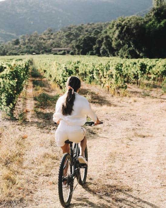 Bergerie dans les Vignes - Villa 2 Chambres - 22