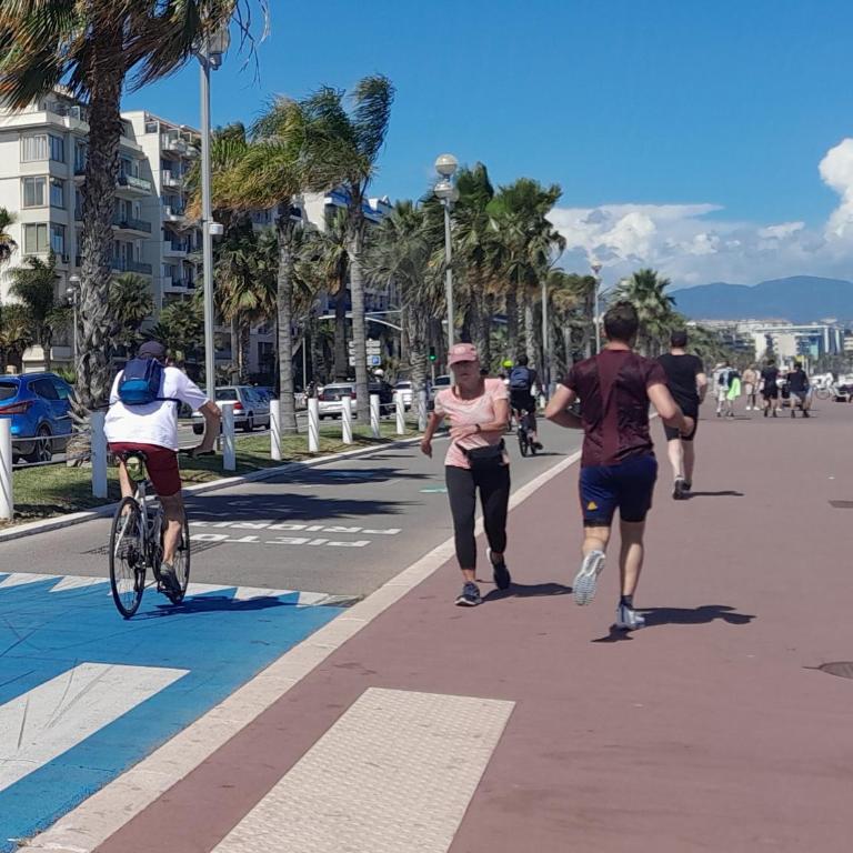 Les Palmiers NiceAirport, Beach200m, 2bedrooms, Wifi Optic - Appartement 1 Chambre - 38
