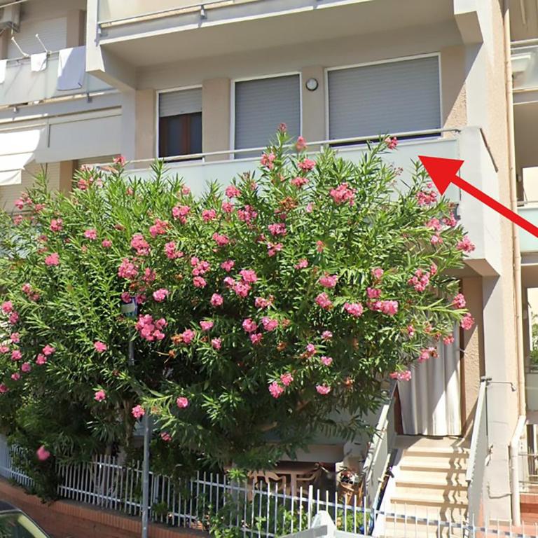 Appartamento VITA - Appartamento con 2 Camere da Letto - 21