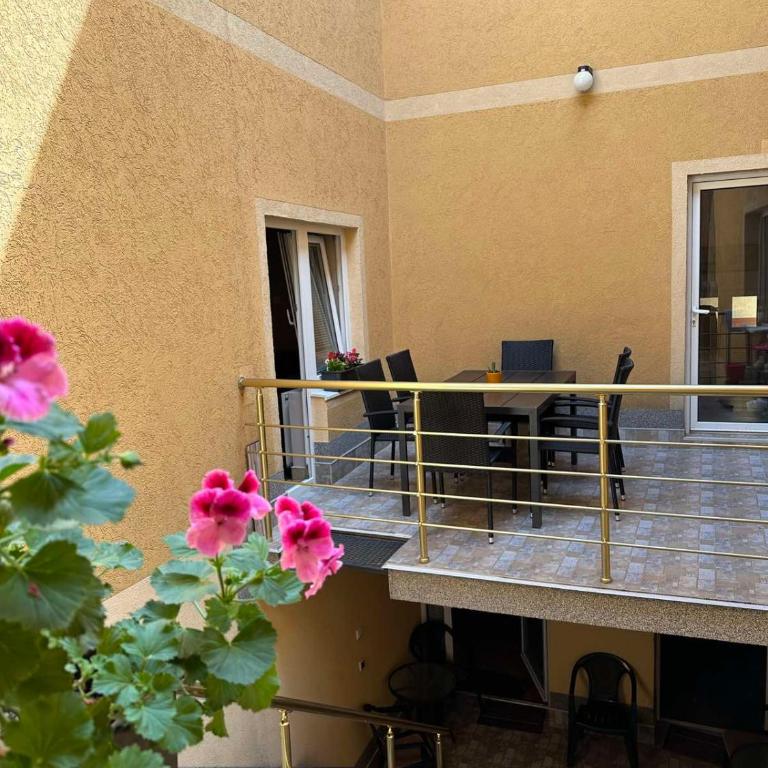 Vila Misljenovic, u centru Sokobanje, na pesackoj zoni - Studio Apartman s Balkonom - 9