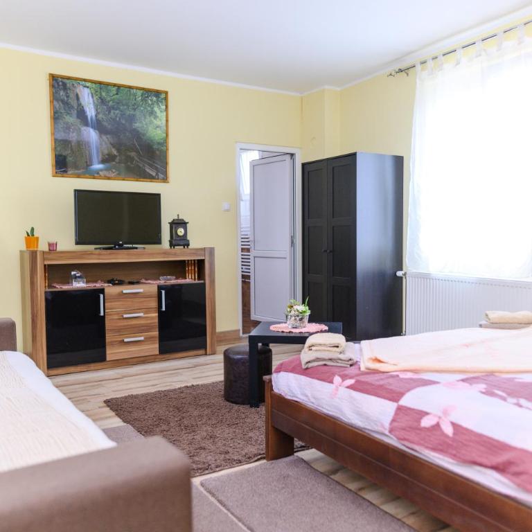 Vila Misljenovic, u centru Sokobanje, na pesackoj zoni - Studio sa Terasom - 5