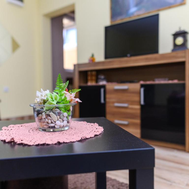 Vila Misljenovic, u centru Sokobanje, na pesackoj zoni - Studio sa Terasom - 6