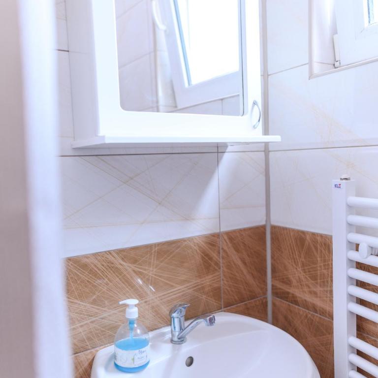 Vila Misljenovic, u centru Sokobanje, na pesackoj zoni - Studio sa Terasom - 15