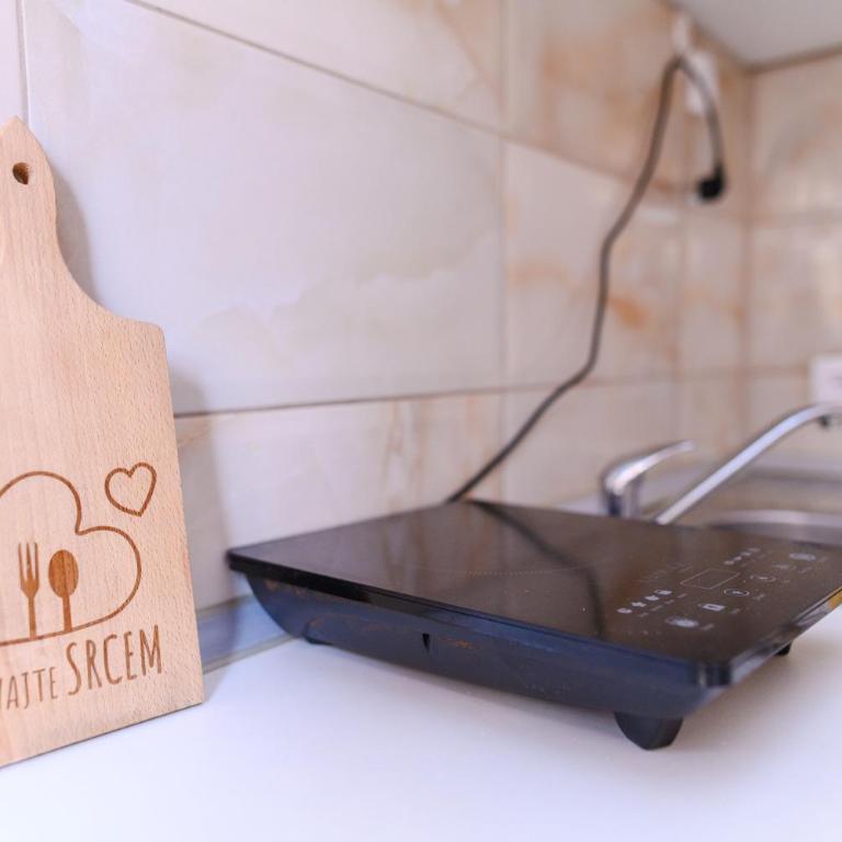 Vila Misljenovic, u centru Sokobanje, na pesackoj zoni - Studio sa Terasom - 11