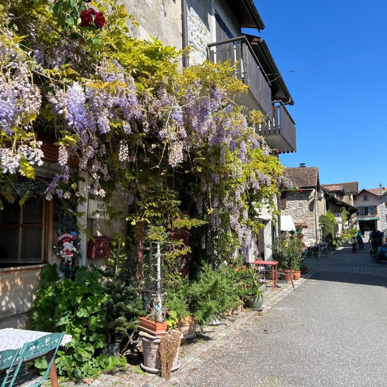 Appartement à 10 mètres de la plage ! - Appartement 1 Chambre - 20