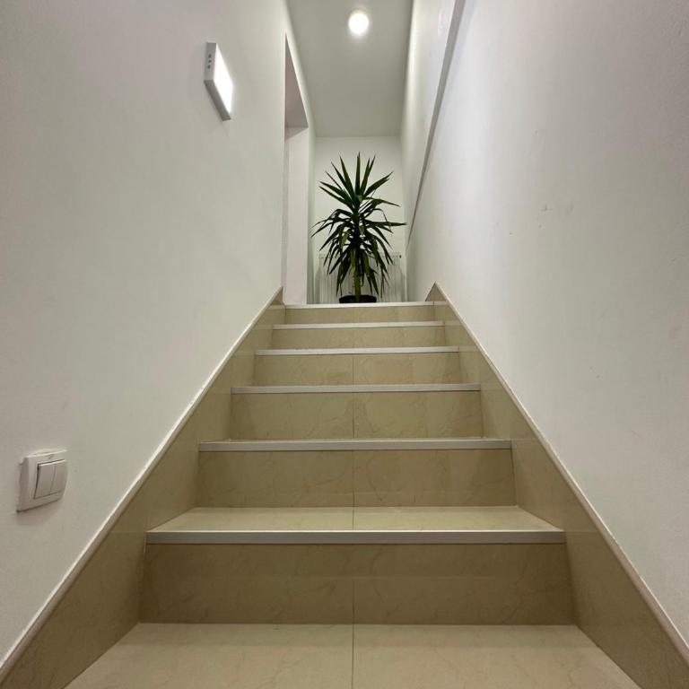 Vila Misljenovic, u centru Sokobanje, na pesackoj zoni - Studio sa Terasom - 2
