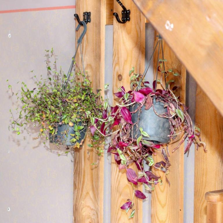 Ethno Village Dolina Mira - 2 Bedroom Holiday Home - 4