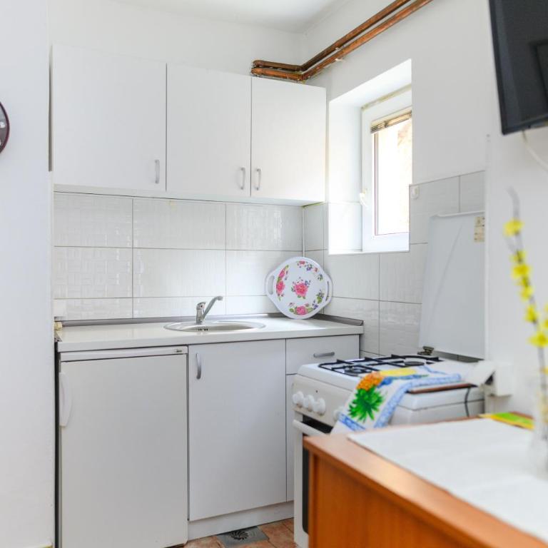 Vila Misljenovic, u centru Sokobanje, na pesackoj zoni - Porodični Studio - 6