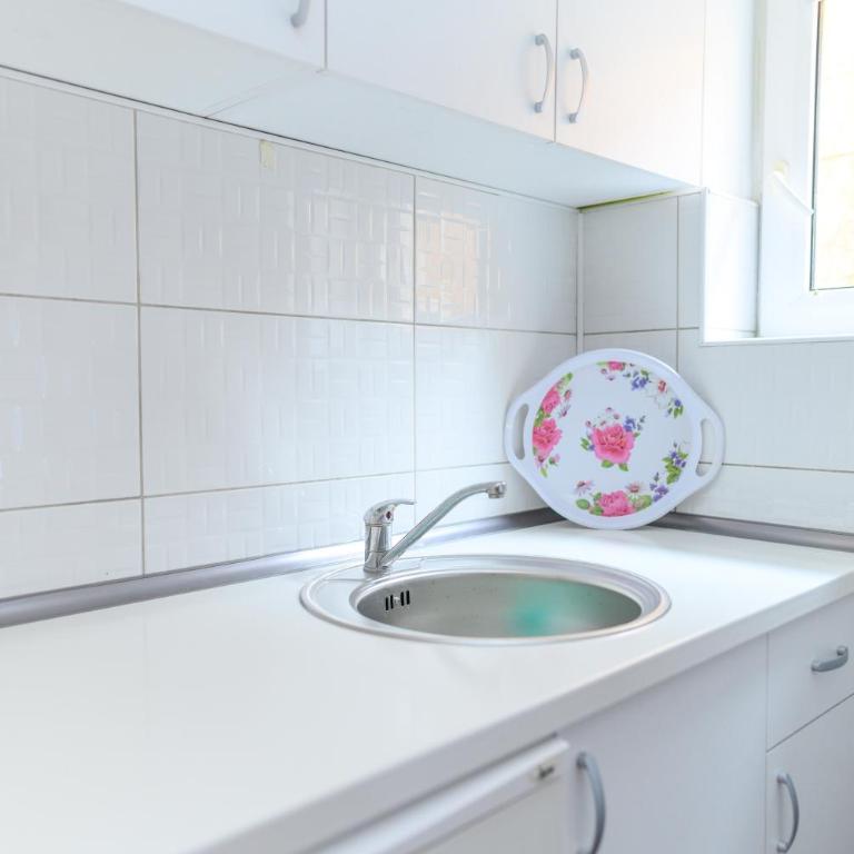 Vila Misljenovic, u centru Sokobanje, na pesackoj zoni - Porodični Studio - 7