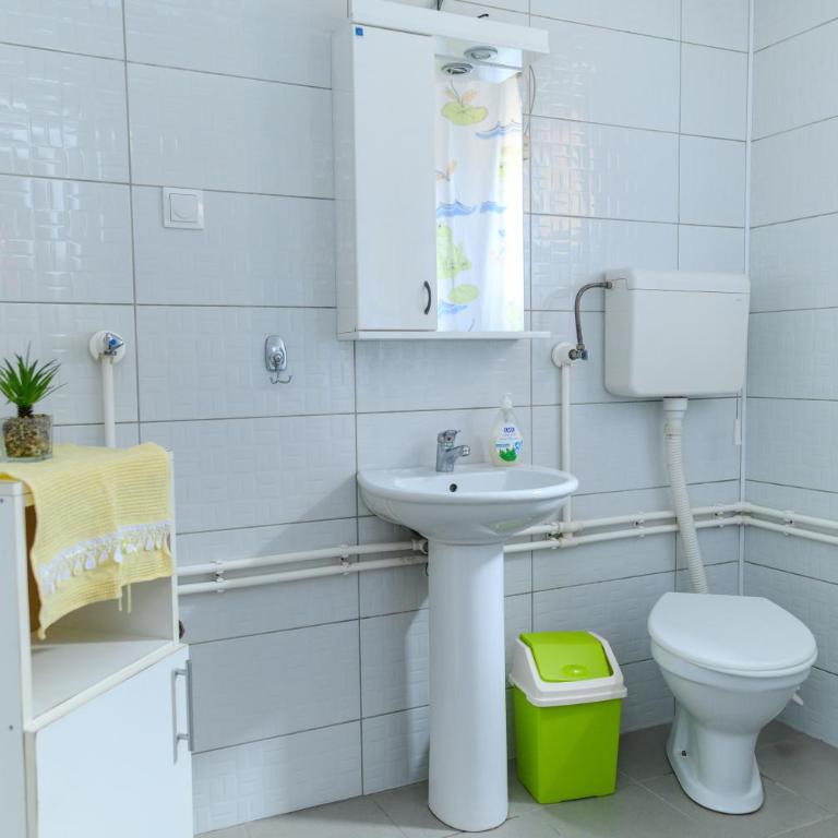 Vila Misljenovic, u centru Sokobanje, na pesackoj zoni - Porodični Studio - 8