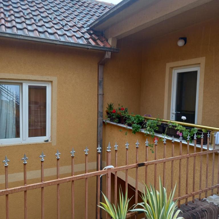 Vila Misljenovic, u centru Sokobanje, na pesackoj zoni - Studio sa Terasom - 12