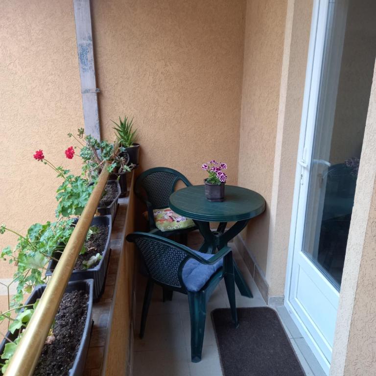 Vila Misljenovic, u centru Sokobanje, na pesackoj zoni - Studio sa Terasom - 13