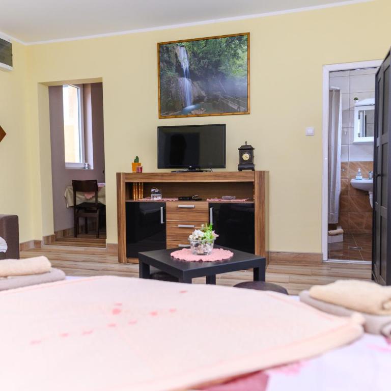 Vila Misljenovic, u centru Sokobanje, na pesackoj zoni - Studio sa Terasom - 1