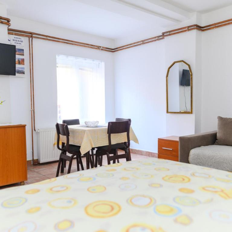 Vila Misljenovic, u centru Sokobanje, na pesackoj zoni - Porodični Studio - 1