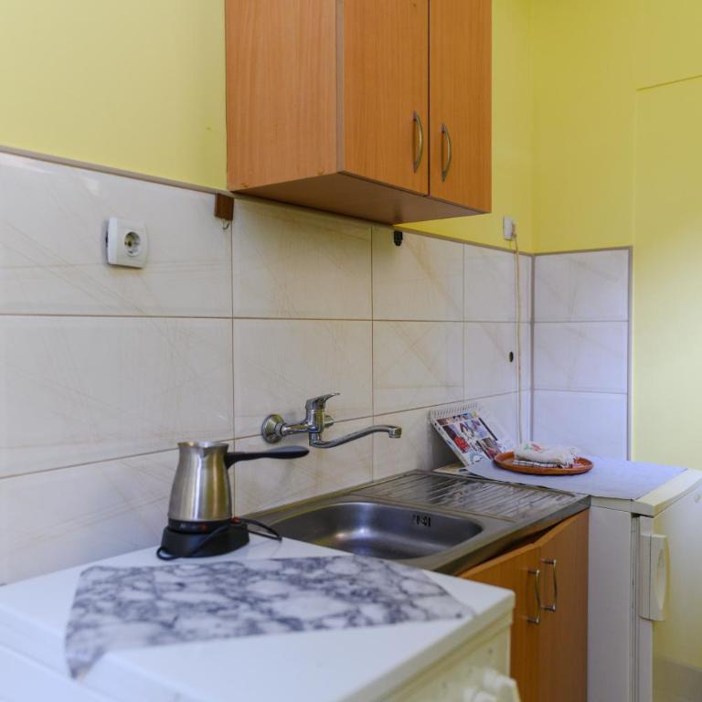 Vila Misljenovic, u centru Sokobanje, na pesackoj zoni - Standardni Studio - 4