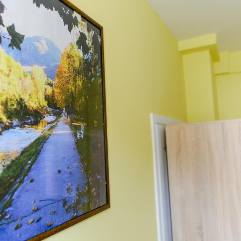 Vila Misljenovic, u centru Sokobanje, na pesackoj zoni - Standardni Studio - 5