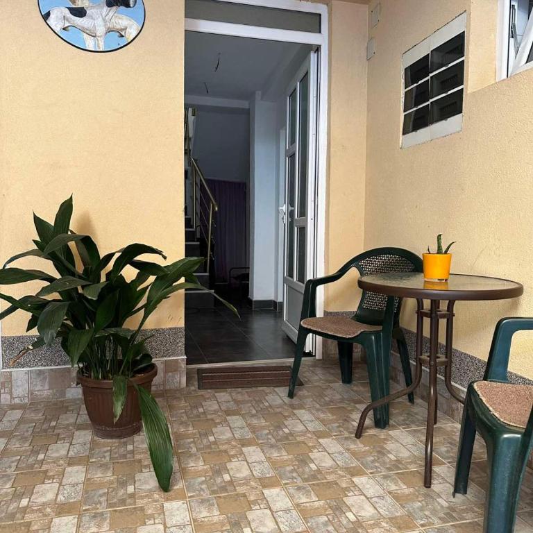 Vila Misljenovic, u centru Sokobanje, na pesackoj zoni - Studio - 1