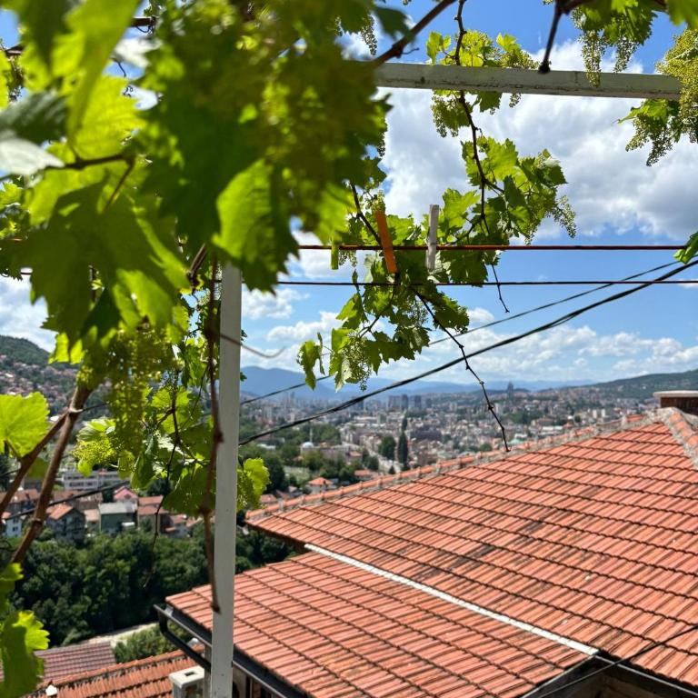 Balcony of Sarajevo - Apartman sa Terasom - 16