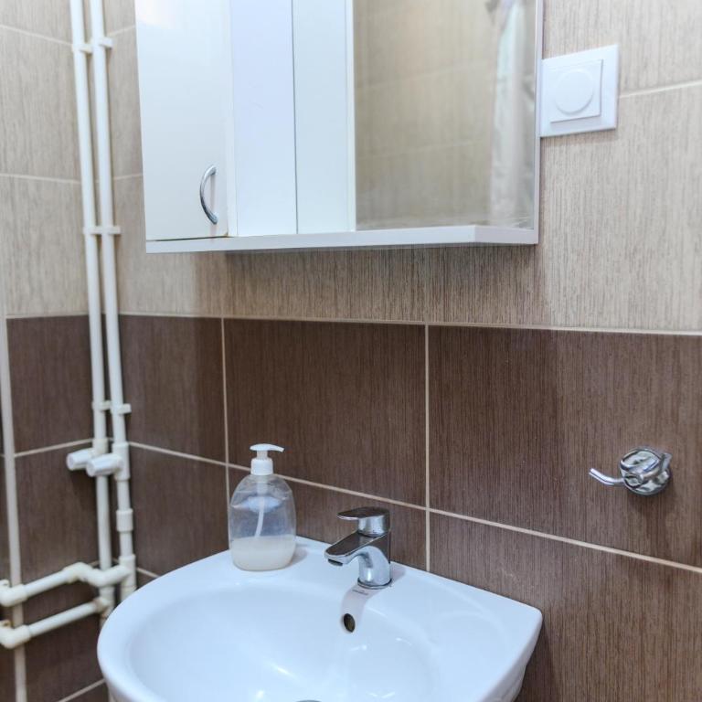Vila Misljenovic, u centru Sokobanje, na pesackoj zoni - Studio - 8