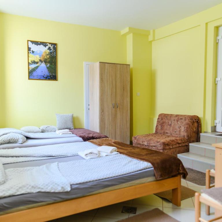 Vila Misljenovic, u centru Sokobanje, na pesackoj zoni - Standardni Studio - 7
