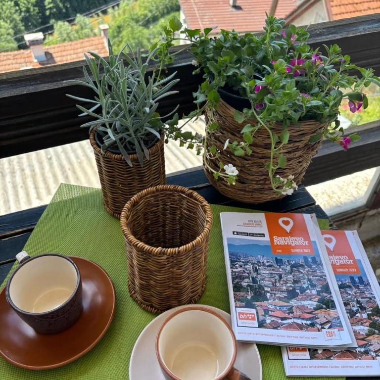 Balcony of Sarajevo - Apartman sa Terasom - 6