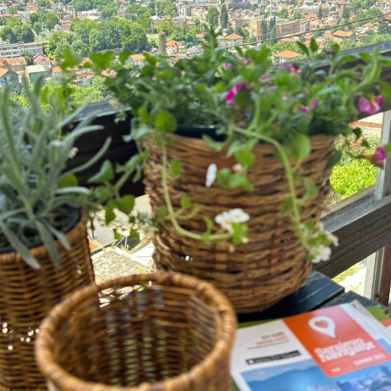 Balcony of Sarajevo - Apartman sa Terasom - 7