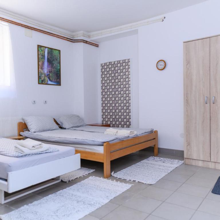 Vila Misljenovic, u centru Sokobanje, na pesackoj zoni - Studio - 2