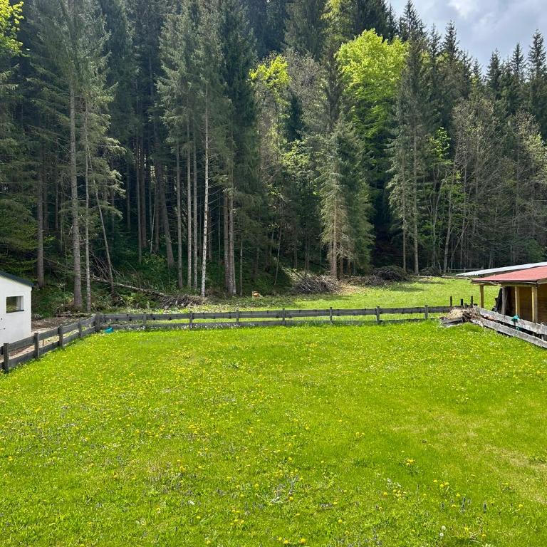 Ferienhaus Bodental - Apartment mit 2 Schlafzimmern - 16