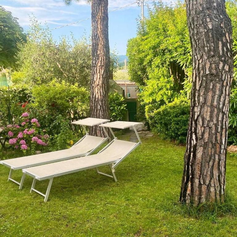 Appartamenti Garda Mulino - Appartamento con 2 Camere da Letto - 2