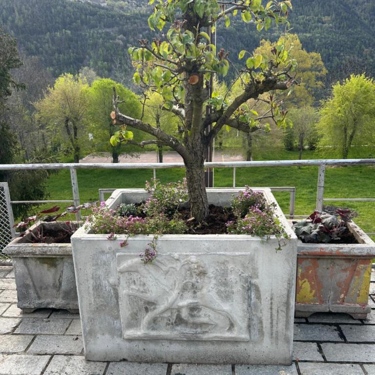 Tana della Volpe - Casa Vacanze - 6