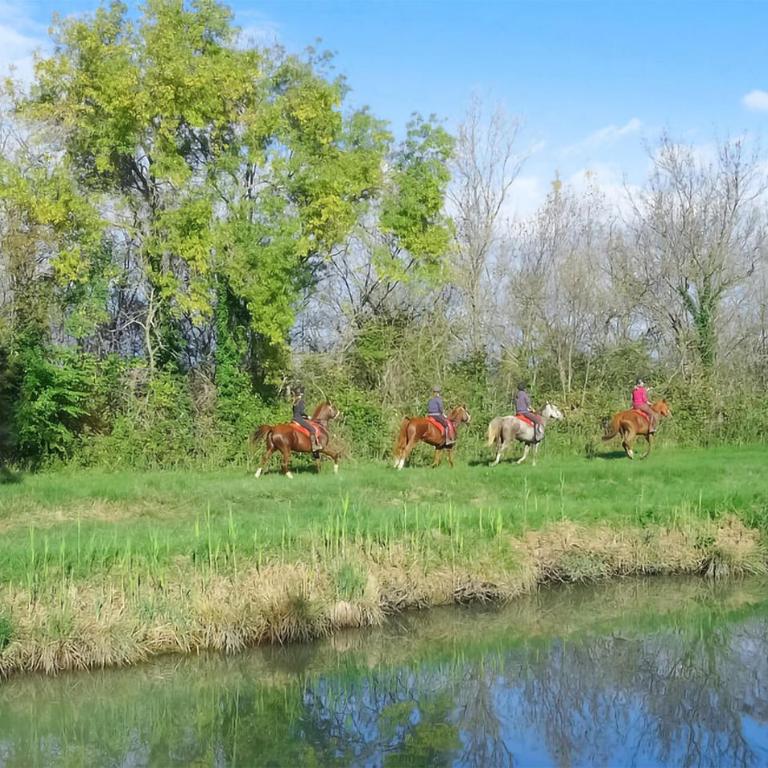 Cozy Home In Aigues-Mortes With House Sea View - Ferienhaus mit 3 Schlafzimmern - 31