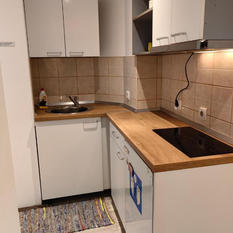 MiS Apartman br7 - Apartman sa 1 Spavaćom Sobom - 40