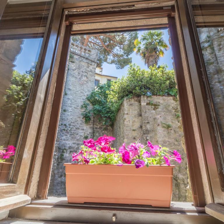 Domus Viterbo Centro - Appartamento - 10