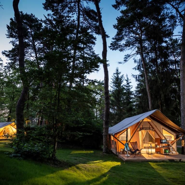 Camping La Pinède - Tente - 4