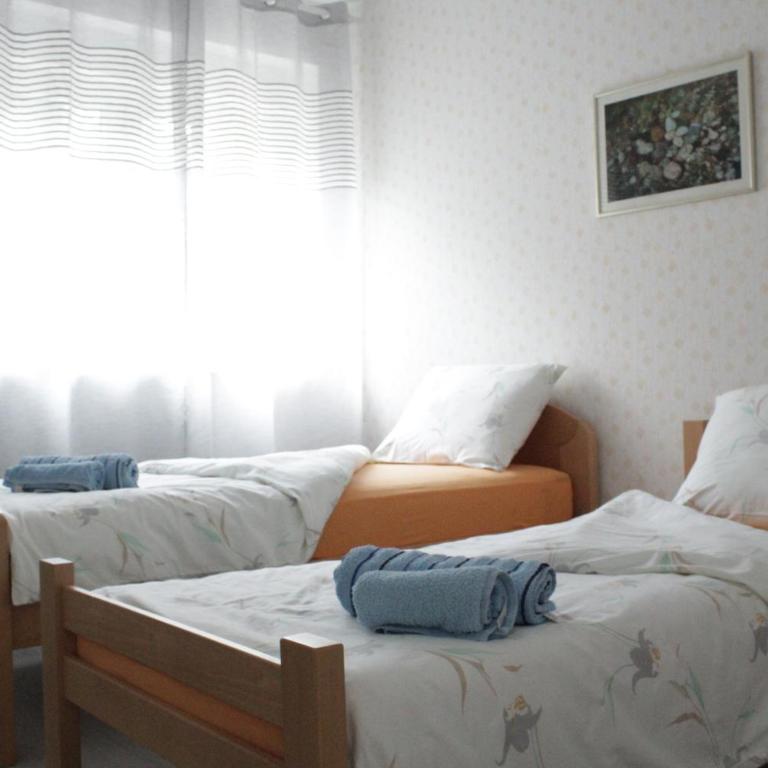 Apartman ZORA s bazenom sa slanom vodom - nova sezona! - Two-Bedroom Apartment - 16