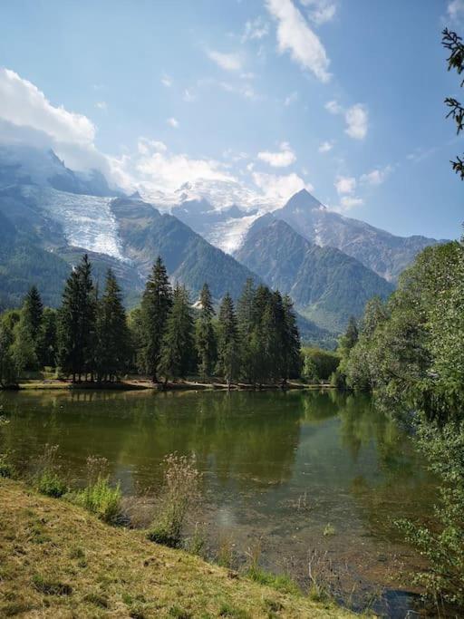 Chamonix, studio de 24 m2 - One-Bedroom Apartment - 9