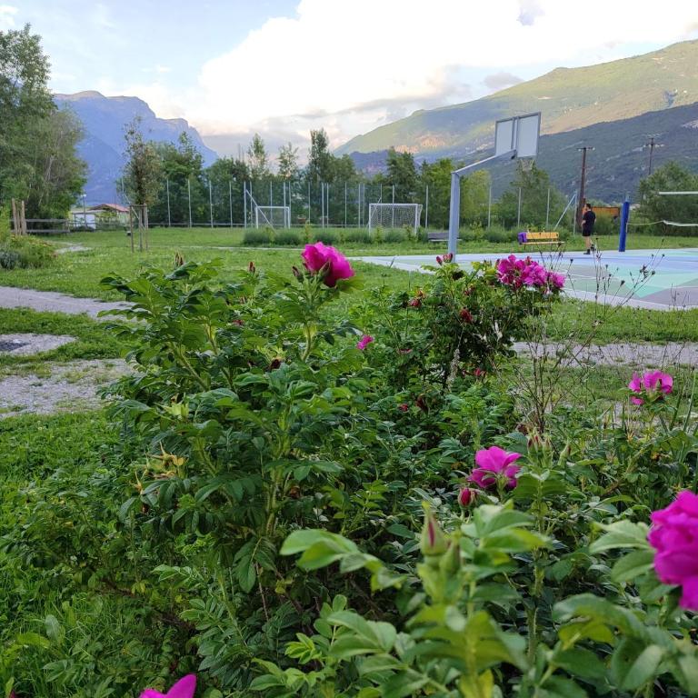 Al Nido - Apartment - 38