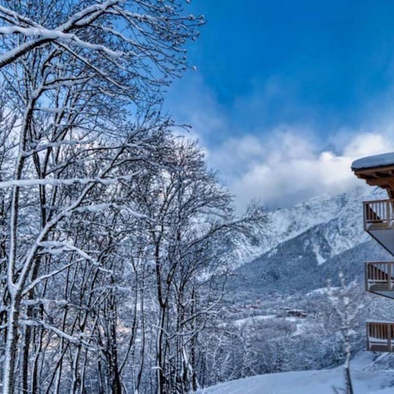 MGM Charles Delys - 3 Rooms - Les Houches - Appartement 3 Chambres - 8