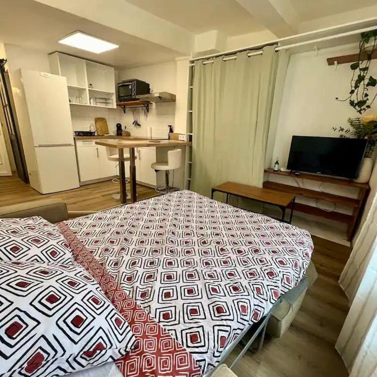 Studio centre historique à Carpentras - Appartement 1 Chambre - 4